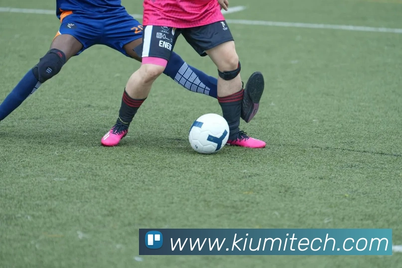 世界杯预选赛下单平台生态图